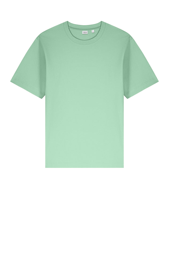 Front View of MistyJade Stanley/Stella Unisex Freestyler Heavyweight Tee SXU018