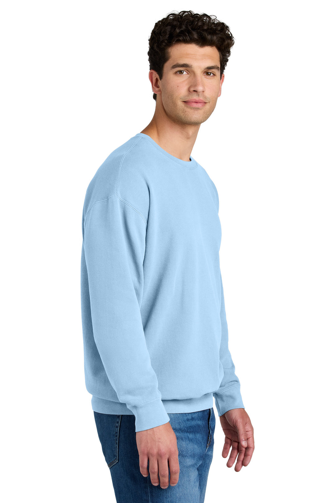 Hydrangea Comfort Colors Lightweight Crewneck Sweatshirt 1466