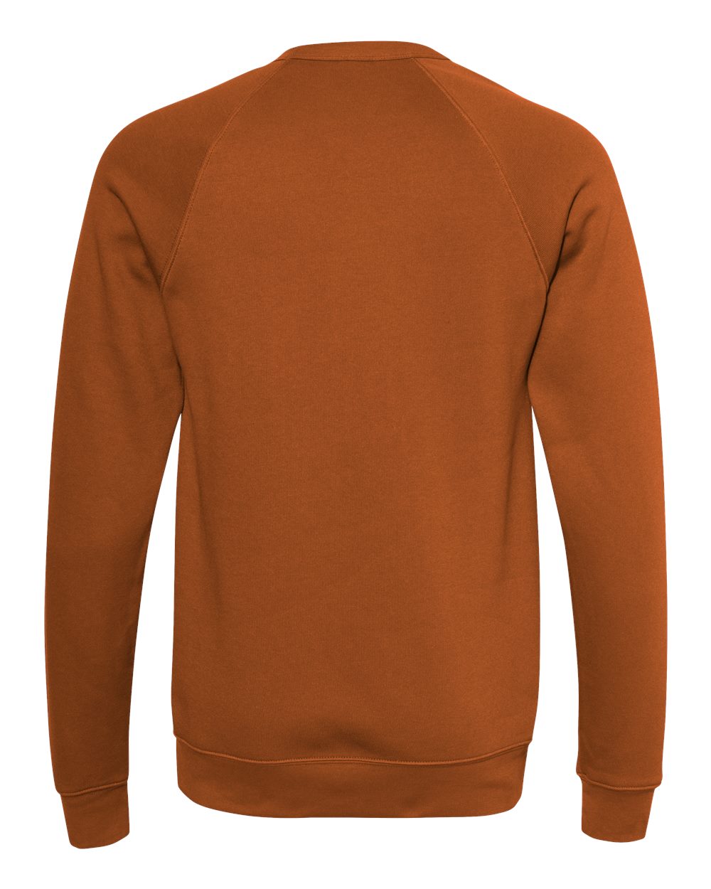 Rear View of Autumn Sponge Fleece Raglan Crewneck Sweatshirt - 3901
