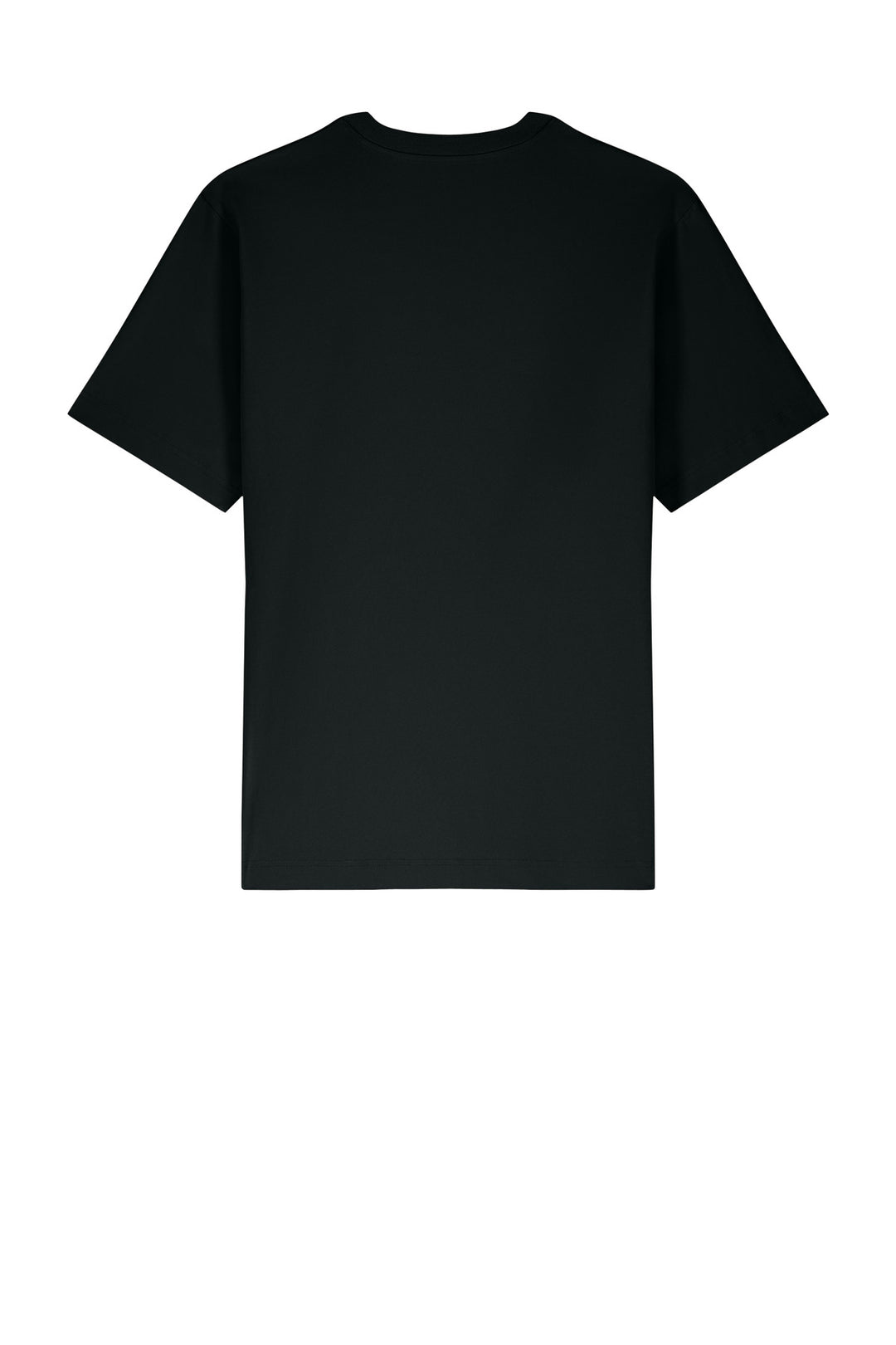 Rear View of Black Stanley/Stella Unisex Freestyler Heavyweight Tee SXU018