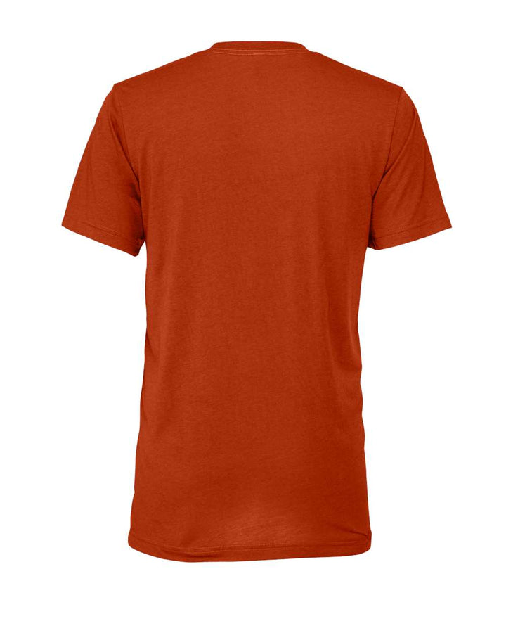 Rear View of Brick Triblend Triblend Tee - 3413