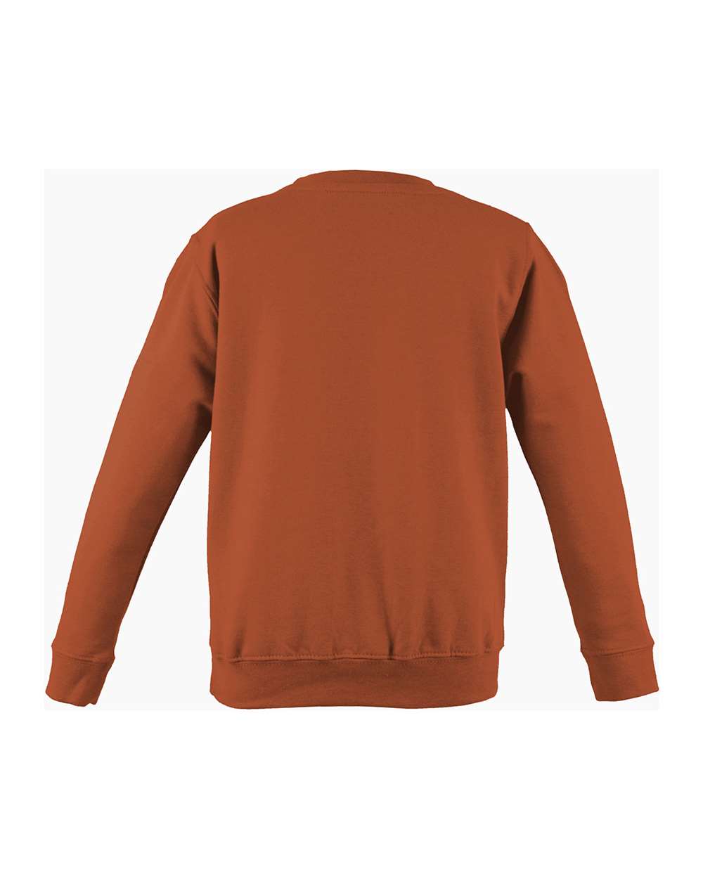 Rear View of Burnt Orange College Crewneck Sweatshirt - JHA030