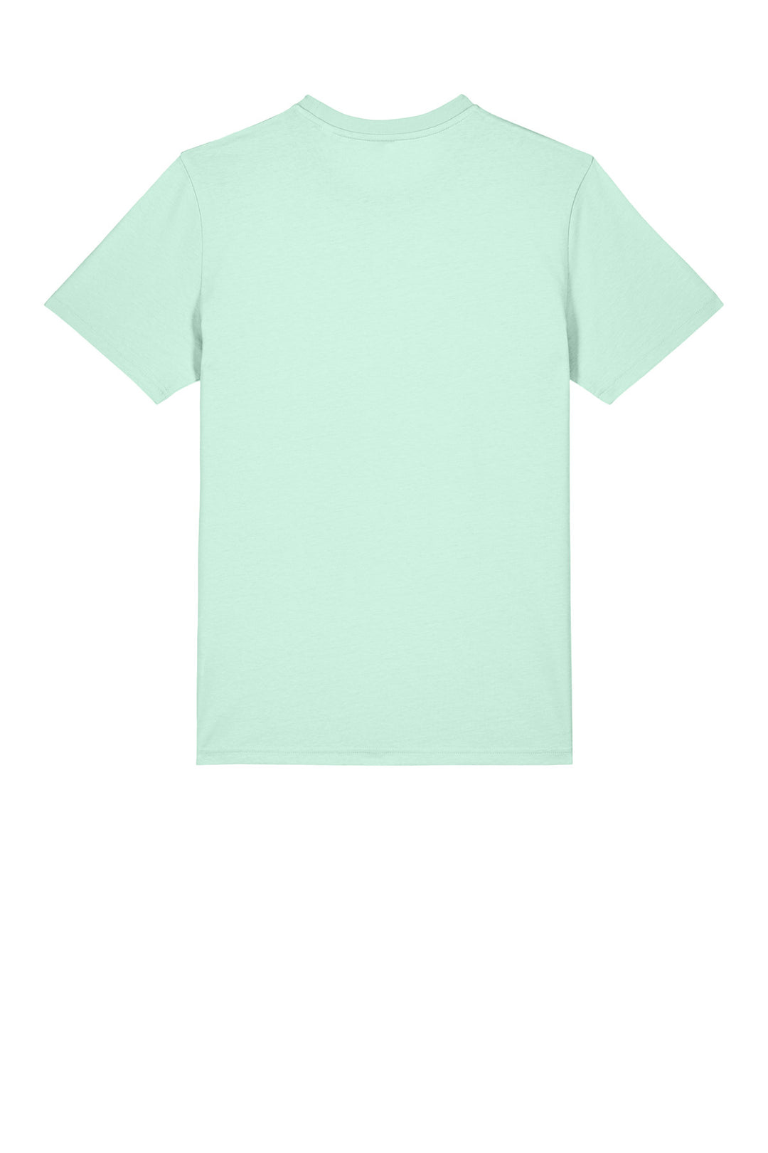 Rear View of CariBlue Stanley/Stella Unisex Crafter Tee SXU007