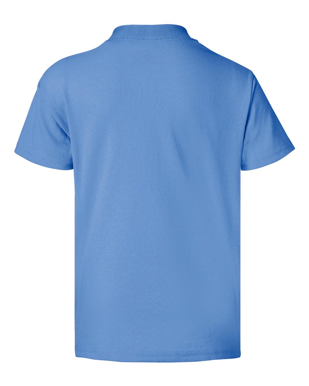 Rear View of Carolina Blue Ecosmart™ Youth T-Shirt - 5370
