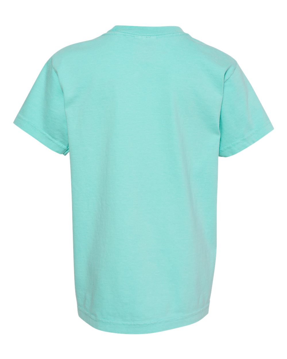 Rear View of Chalky Mint Garment-Dyed Youth Heavyweight T-Shirt - 9018