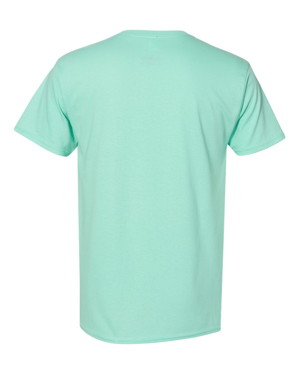 Rear View of Clean Mint Essential-T T-Shirt - 5280