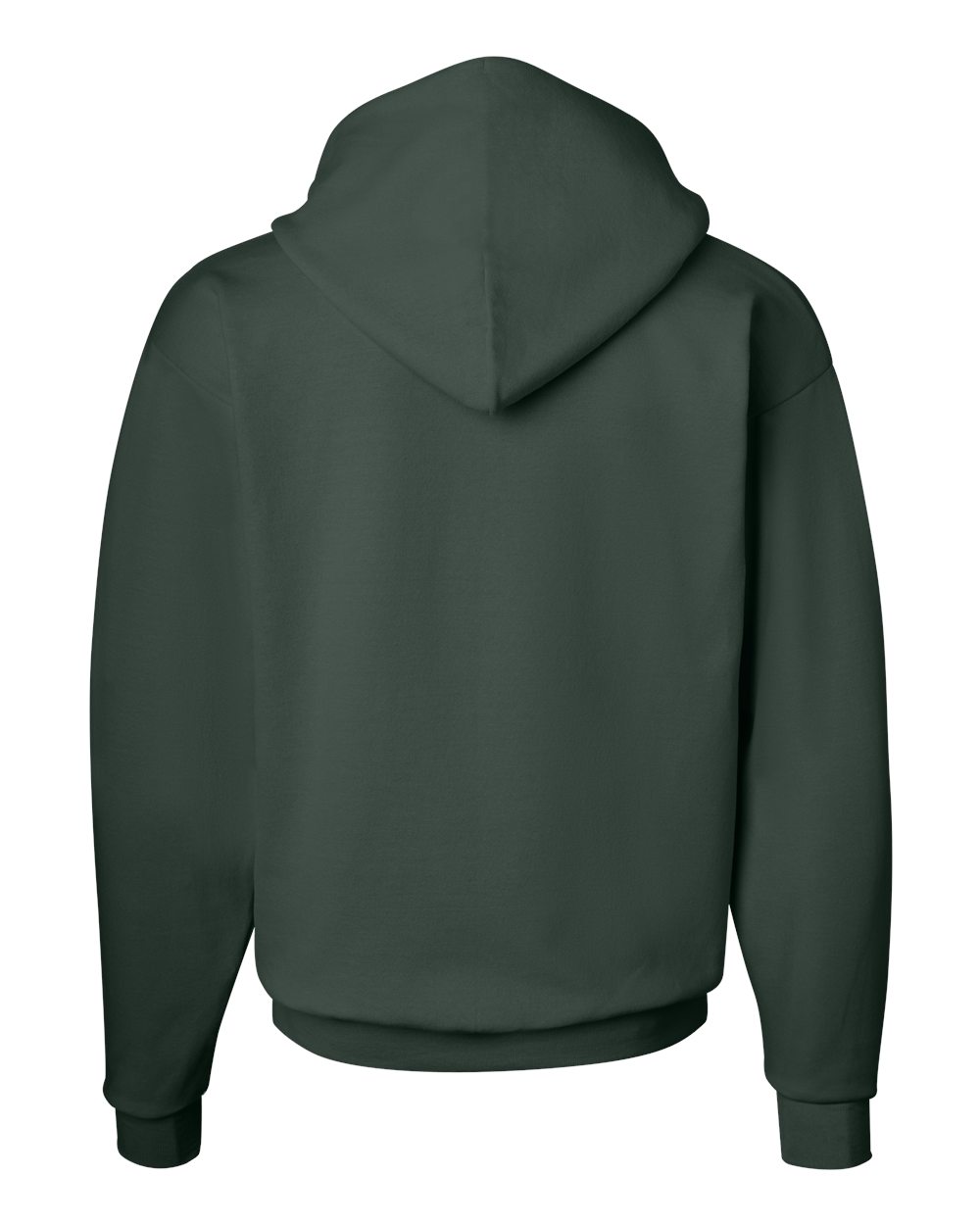 Rear View of Deep Forest Ecosmart® Hooded Sweatshirt - P170