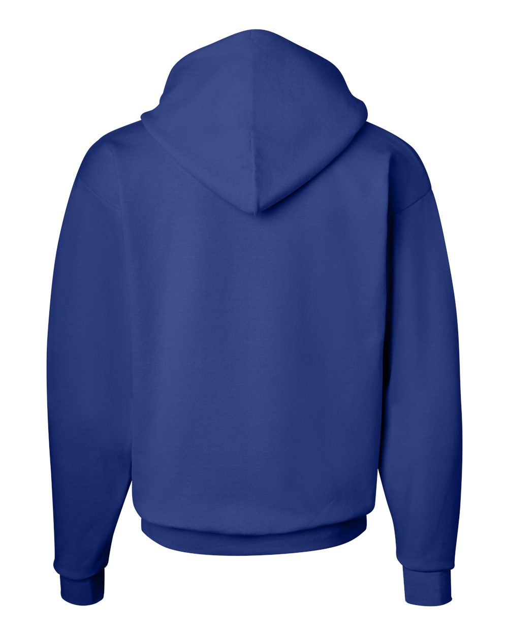 Rear View of Deep Royal Ecosmart® Hooded Sweatshirt - P170