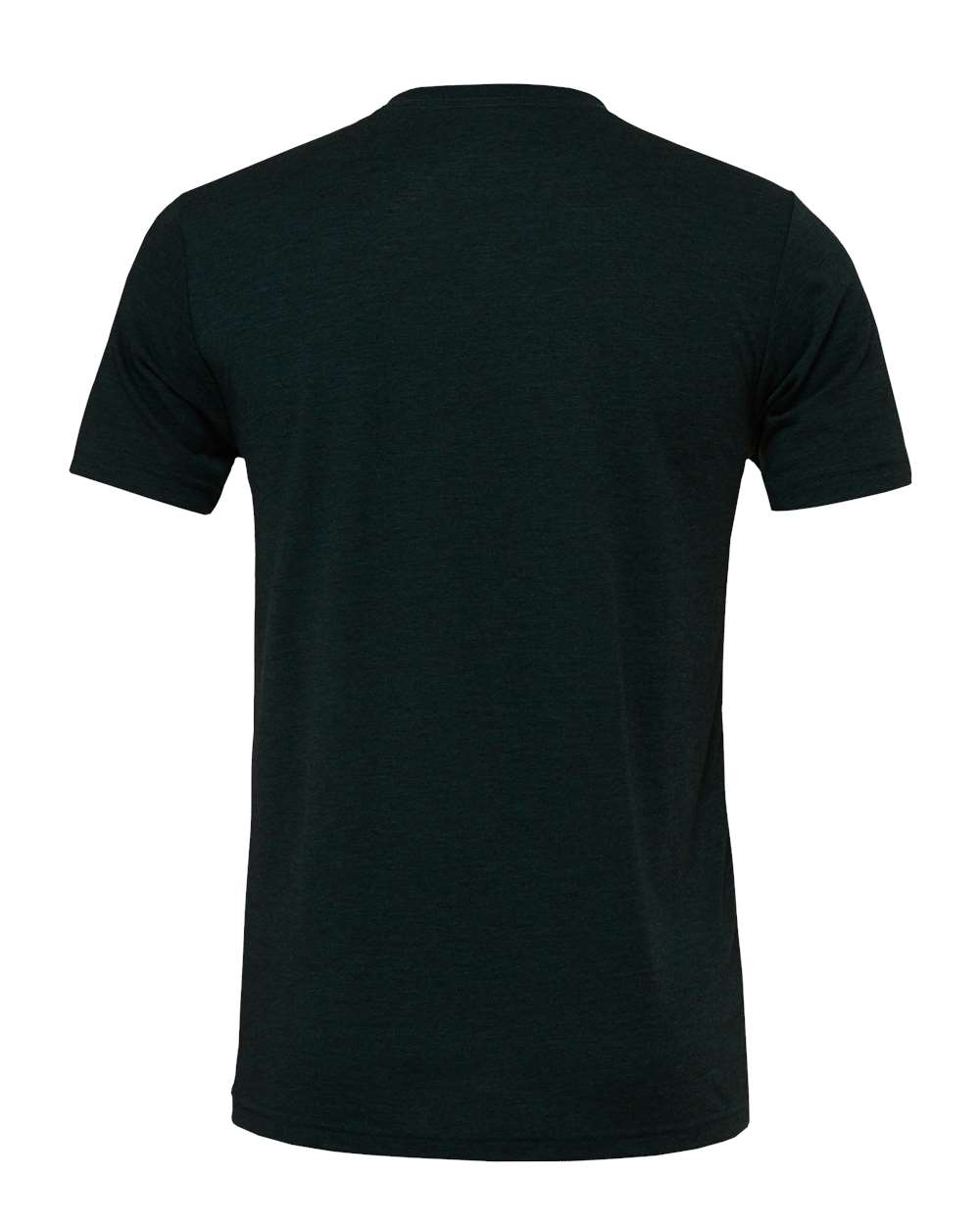 Rear View of Emerald Triblend Triblend Tee - 3413