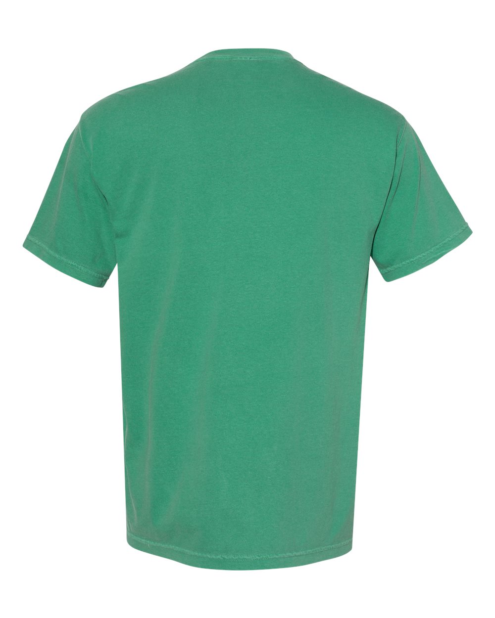 Rear View of Grass Garment-Dyed Heavyweight Pocket T-Shirt - 6030