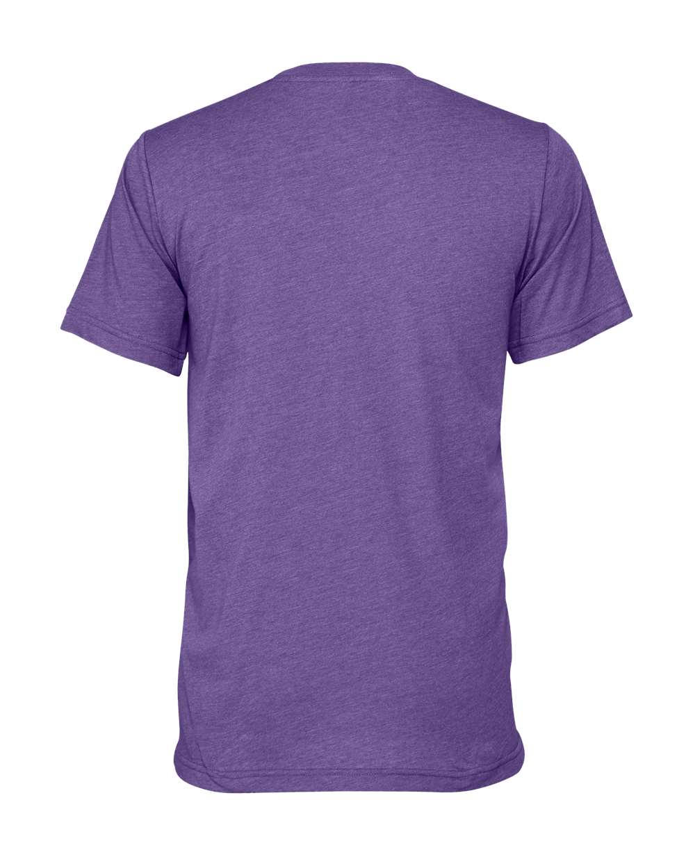 Rear View of Heather Lapis CVC Jersey Tee - 3001CVC