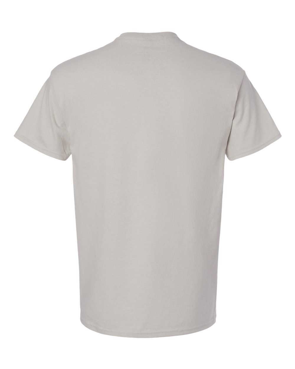 Rear View of Ice Grey Ultra Cotton® T-Shirt - 2000