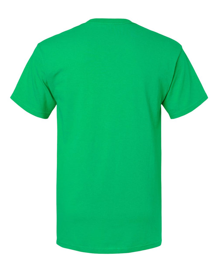 Rear View of Irish Green Gold Soft Touch T-Shirt - 4800