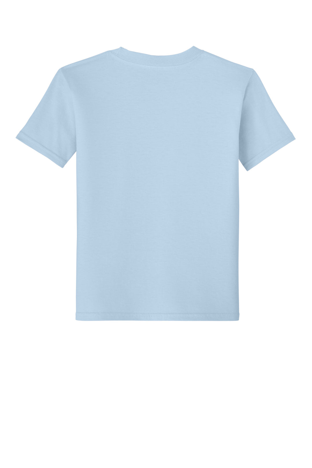 Rear View of LightBlue Gildan Youth Softstyle T-Shirt 64000B