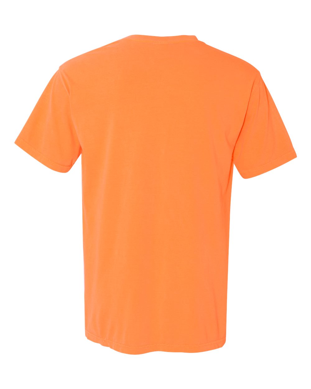 Rear View of Melon Garment-Dyed Heavyweight Pocket T-Shirt - 6030