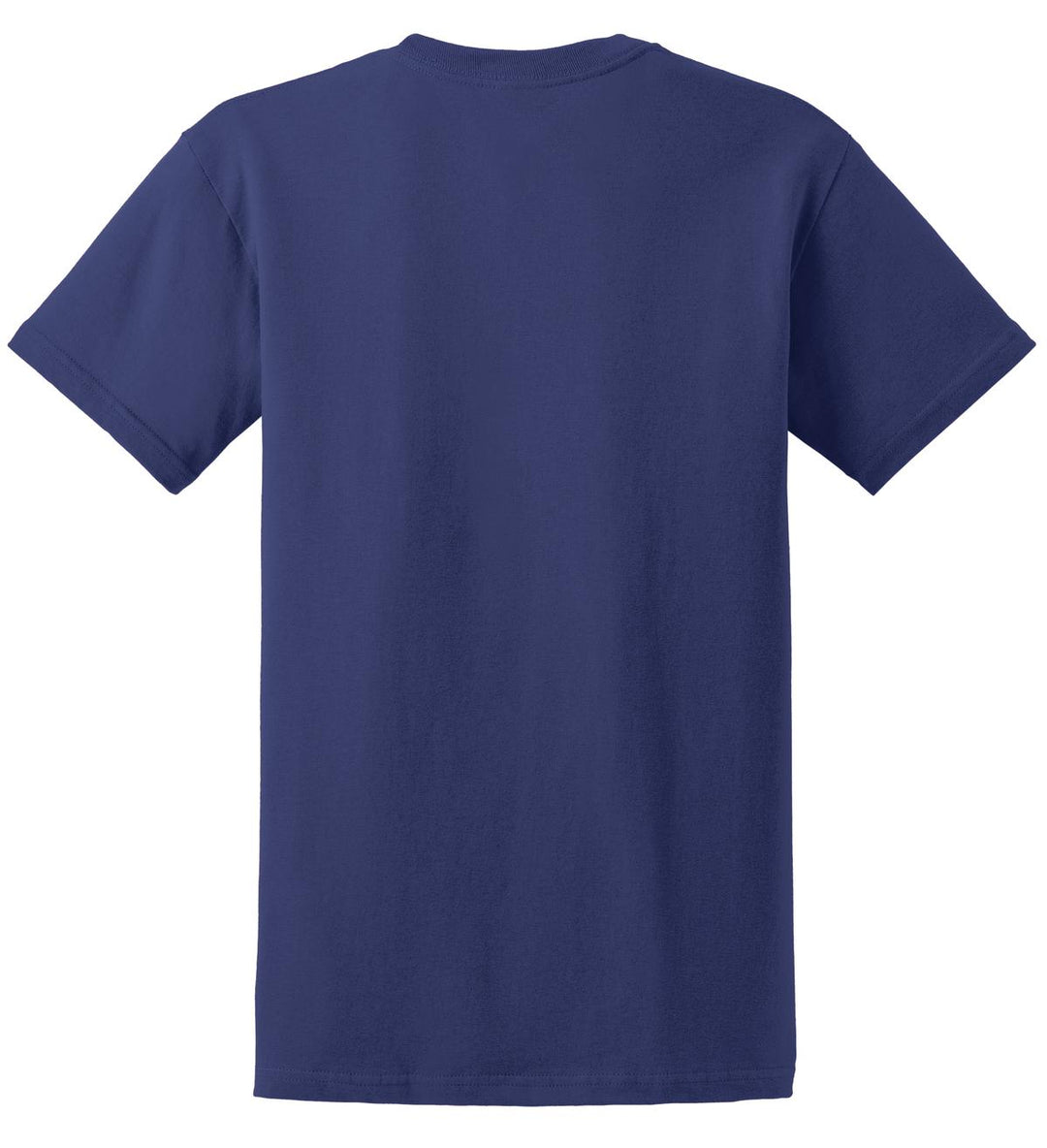 Rear View of Metro Blue Gildan - Ultra Cotton 100% US Cotton T-Shirt. 2000
