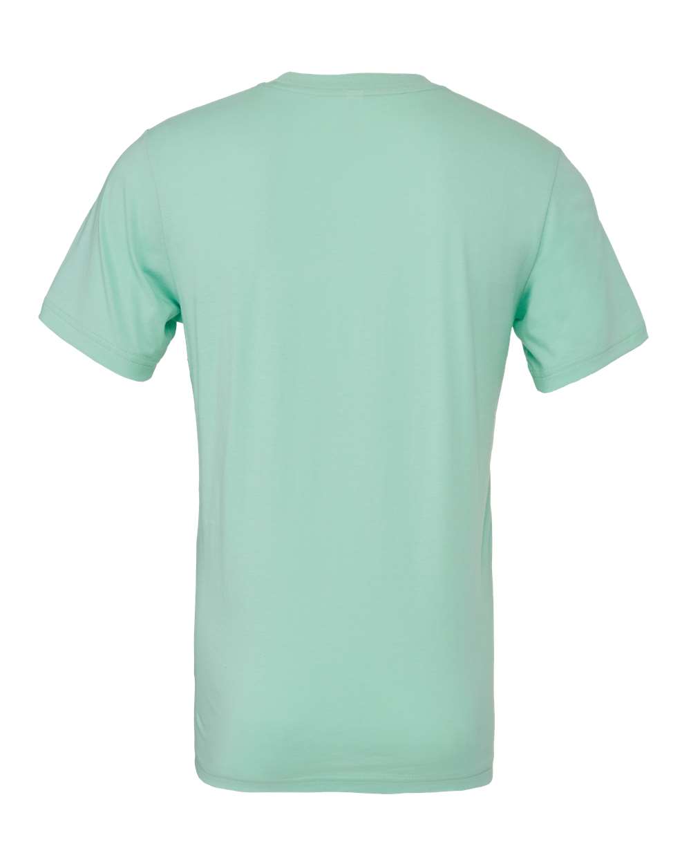 Rear View of Mint Jersey Tee - 3001