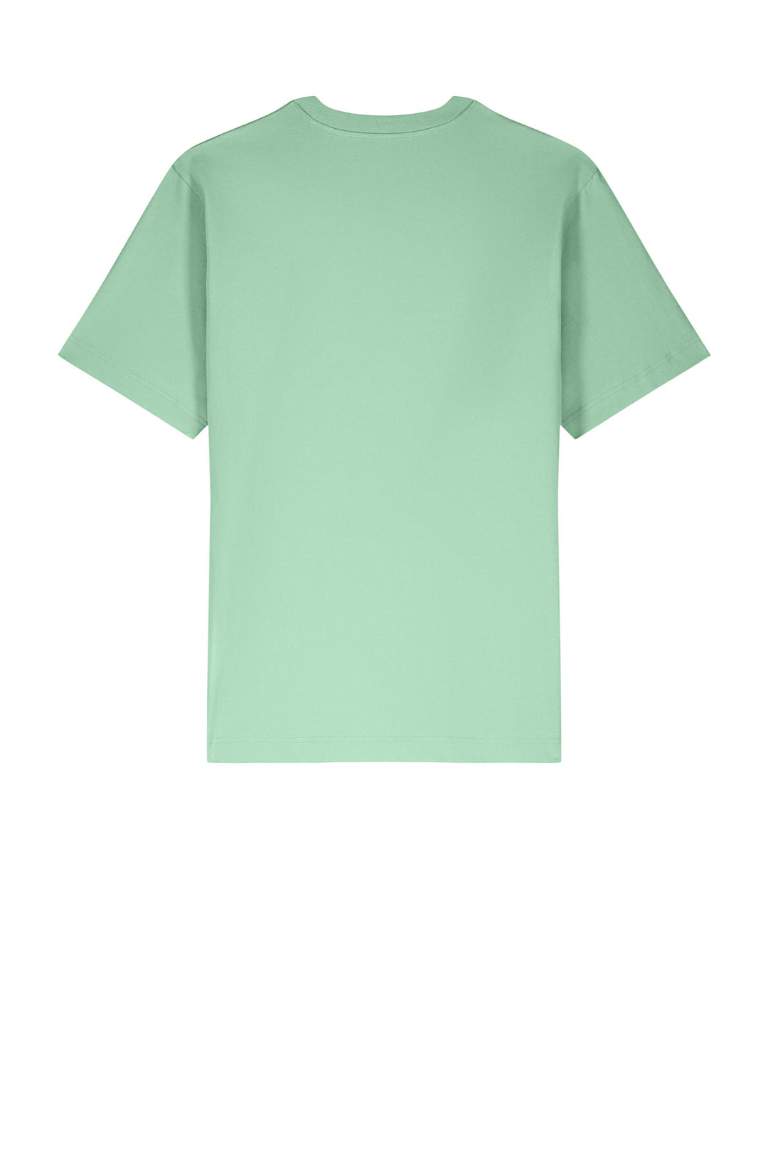 Rear View of MistyJade Stanley/Stella Unisex Freestyler Heavyweight Tee SXU018