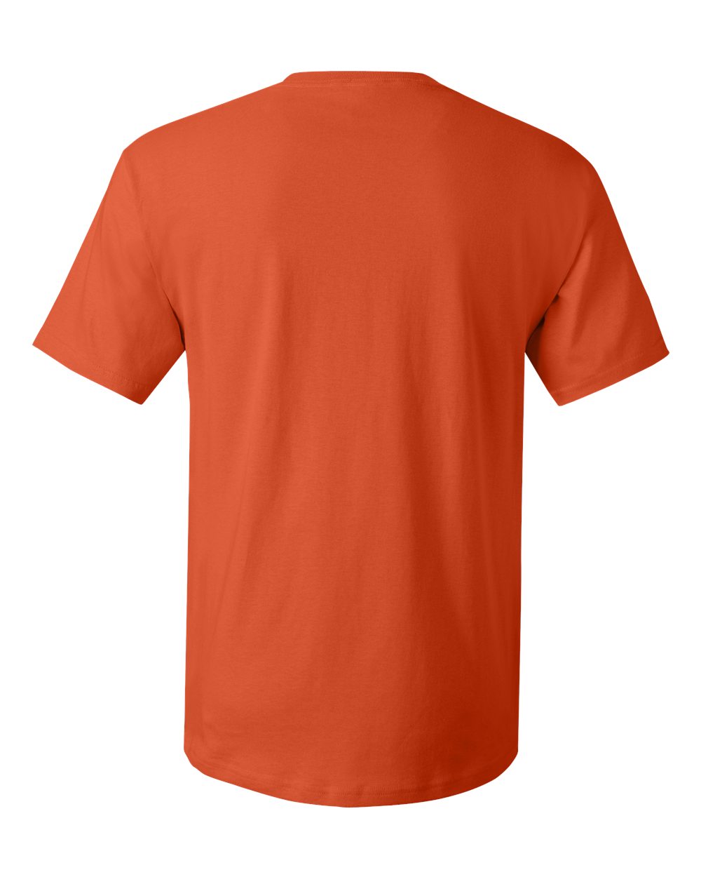 Rear View of Orange Essential-T T-Shirt - 5280