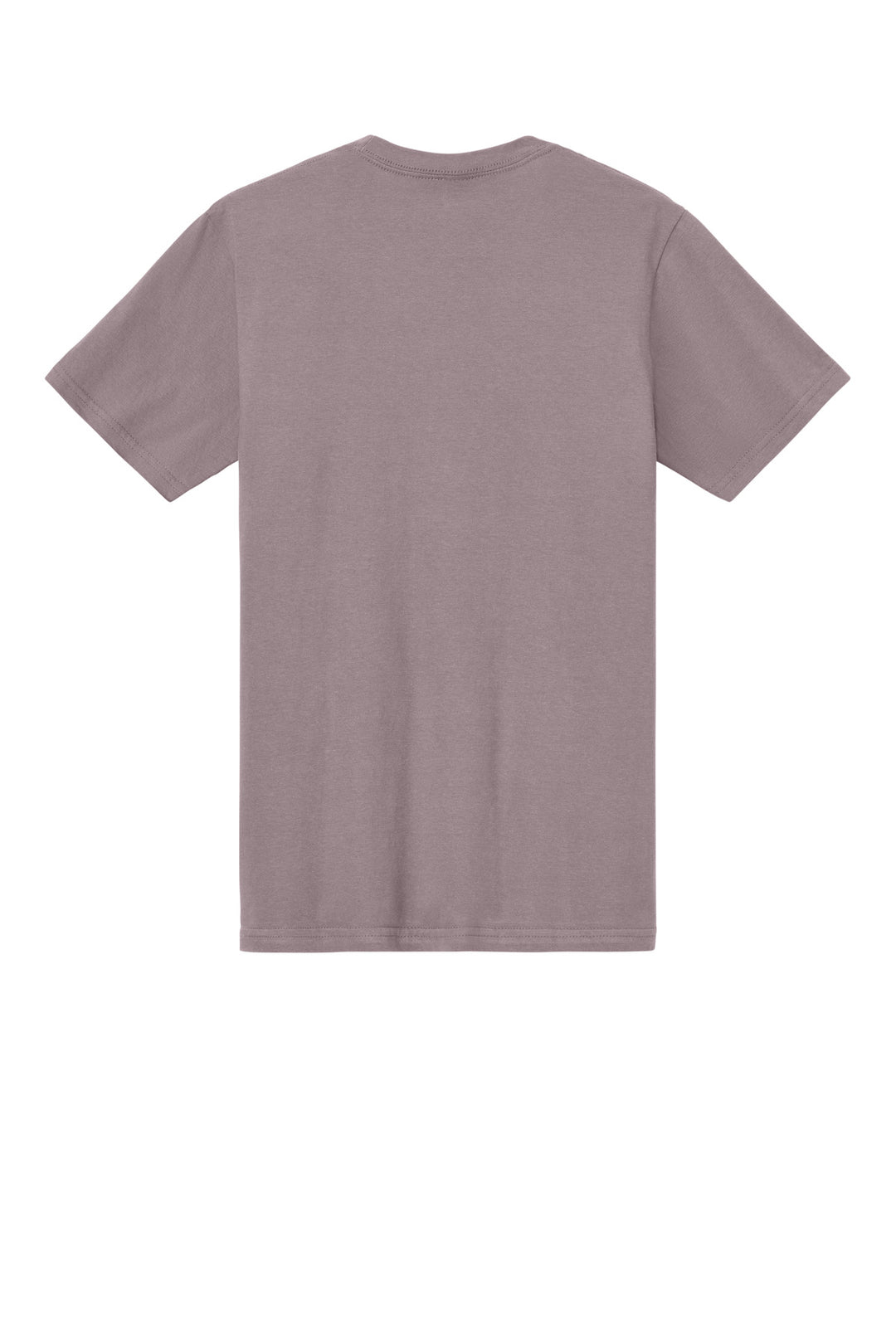 Rear View of Paragon Gildan Softstyle Midweight Tee 65000