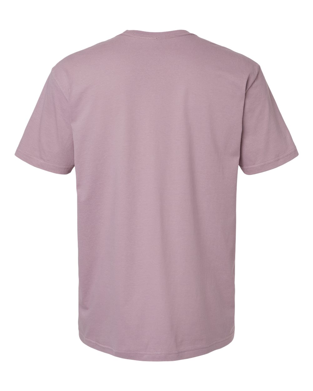 Rear View of Paragon Softstyle® T-Shirt - 64000
