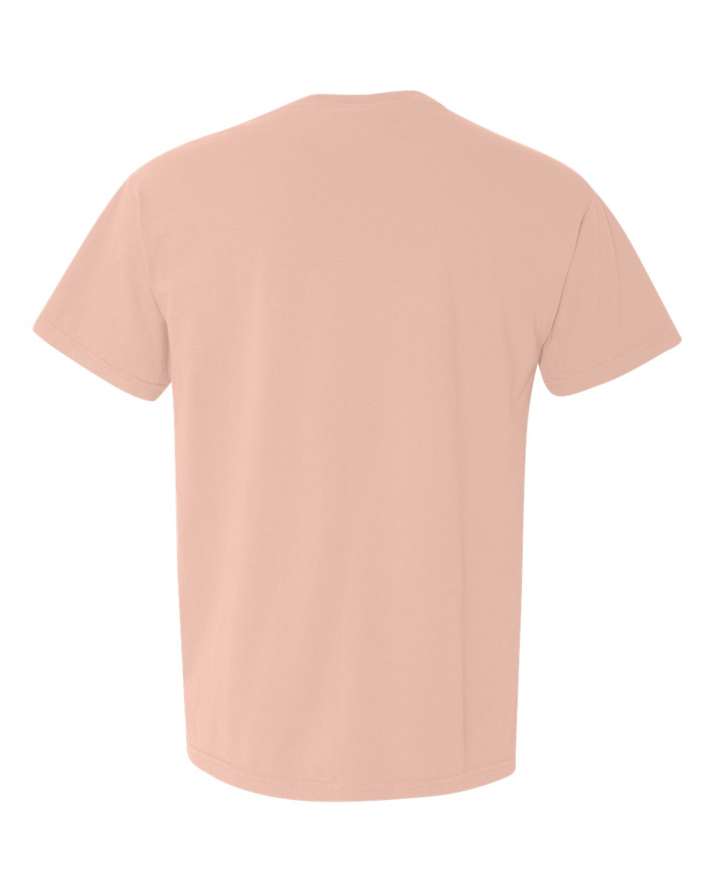 Rear View of Peachy Garment-Dyed Heavyweight Pocket T-Shirt - 6030