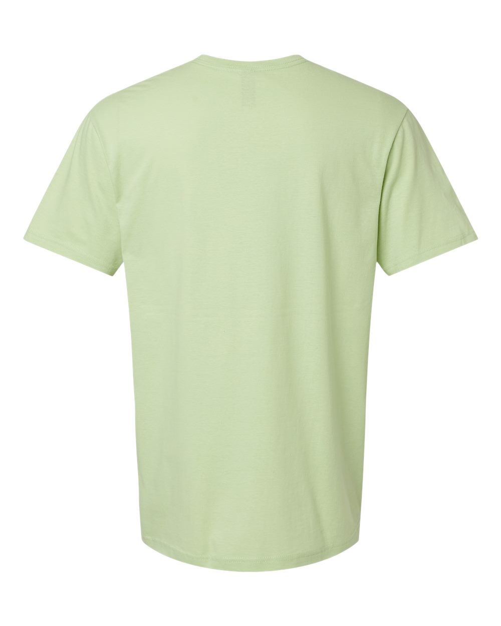 Rear View of Pistachio Softstyle® T-Shirt - 64000
