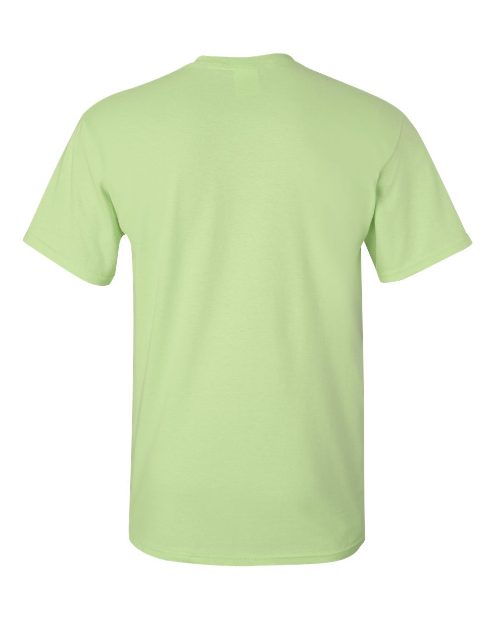 Rear View of Pistachio Ultra Cotton® T-Shirt - 2000