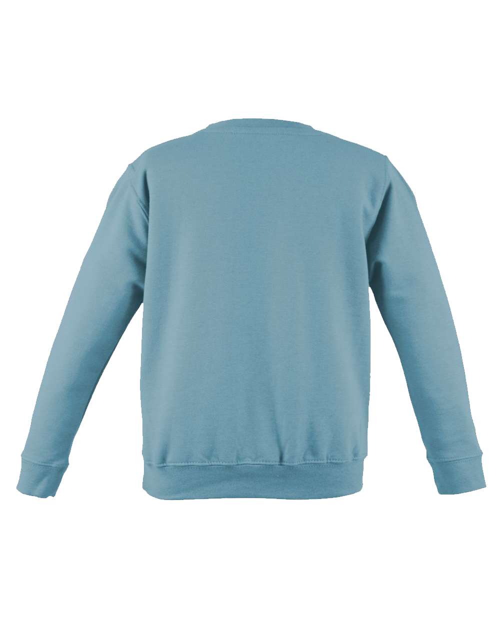 Rear View of Sky Blue College Crewneck Sweatshirt - JHA030