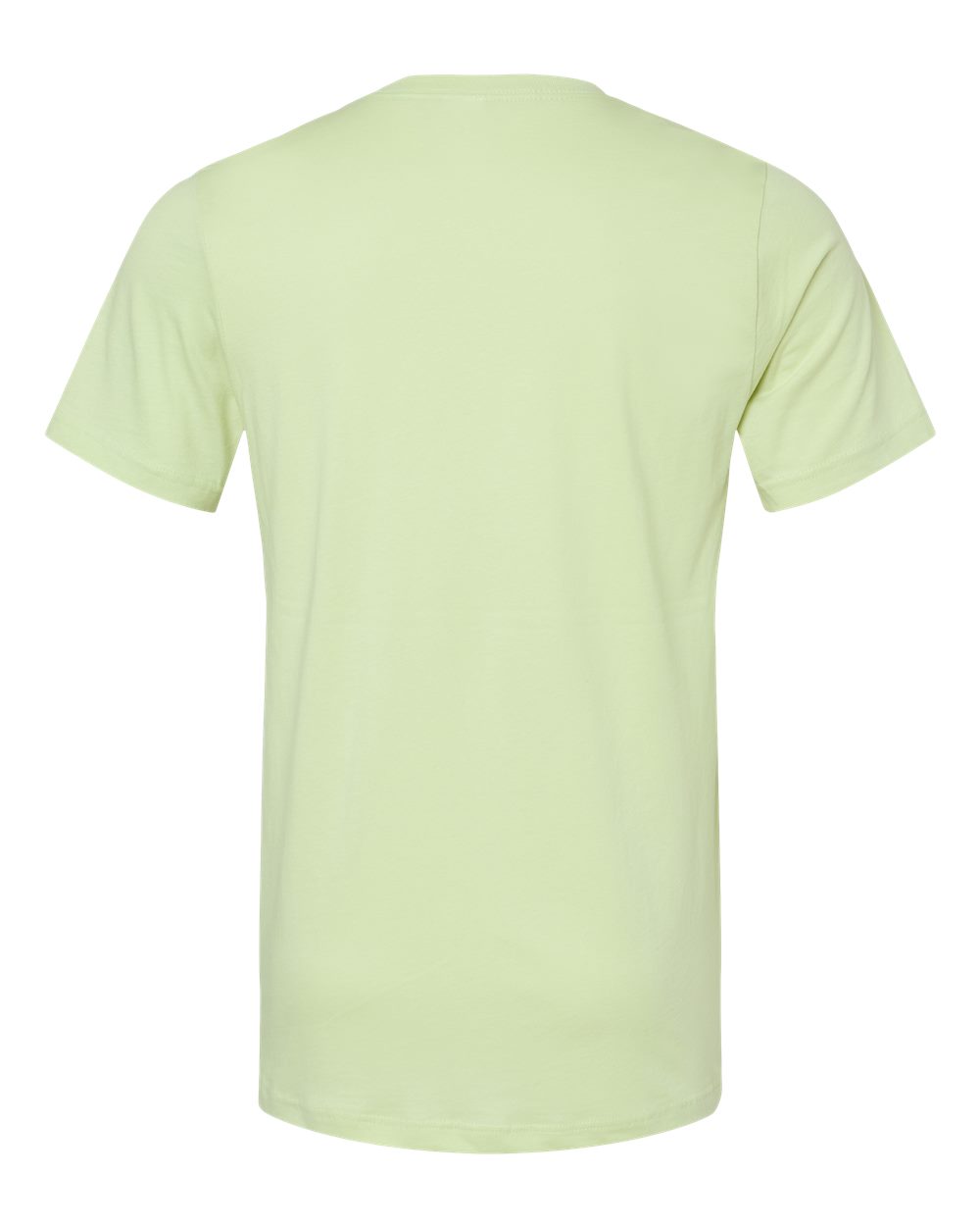 Rear View of Spring Green Jersey Tee - 3001