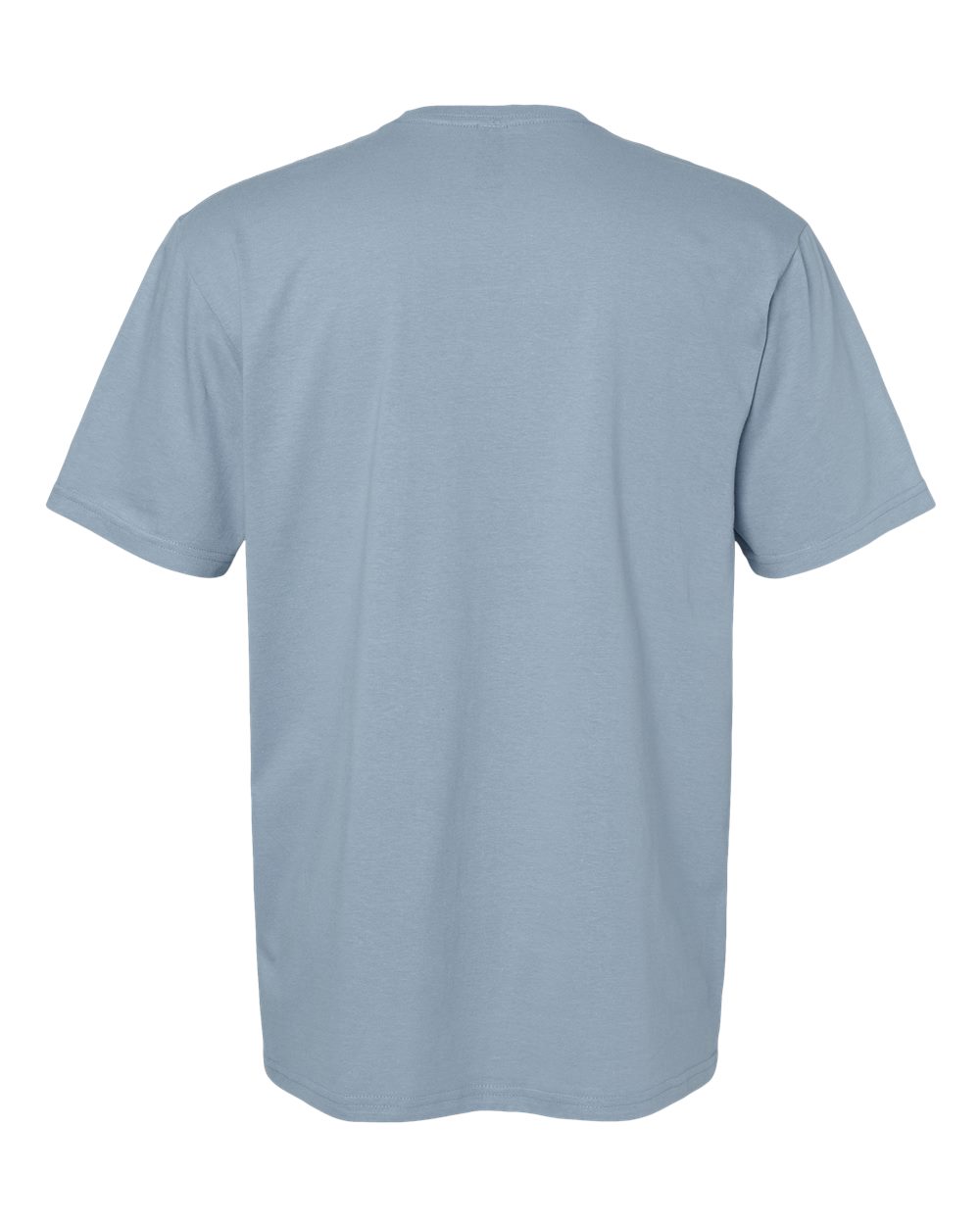 Rear View of Stone Blue Softstyle® T-Shirt - 64000