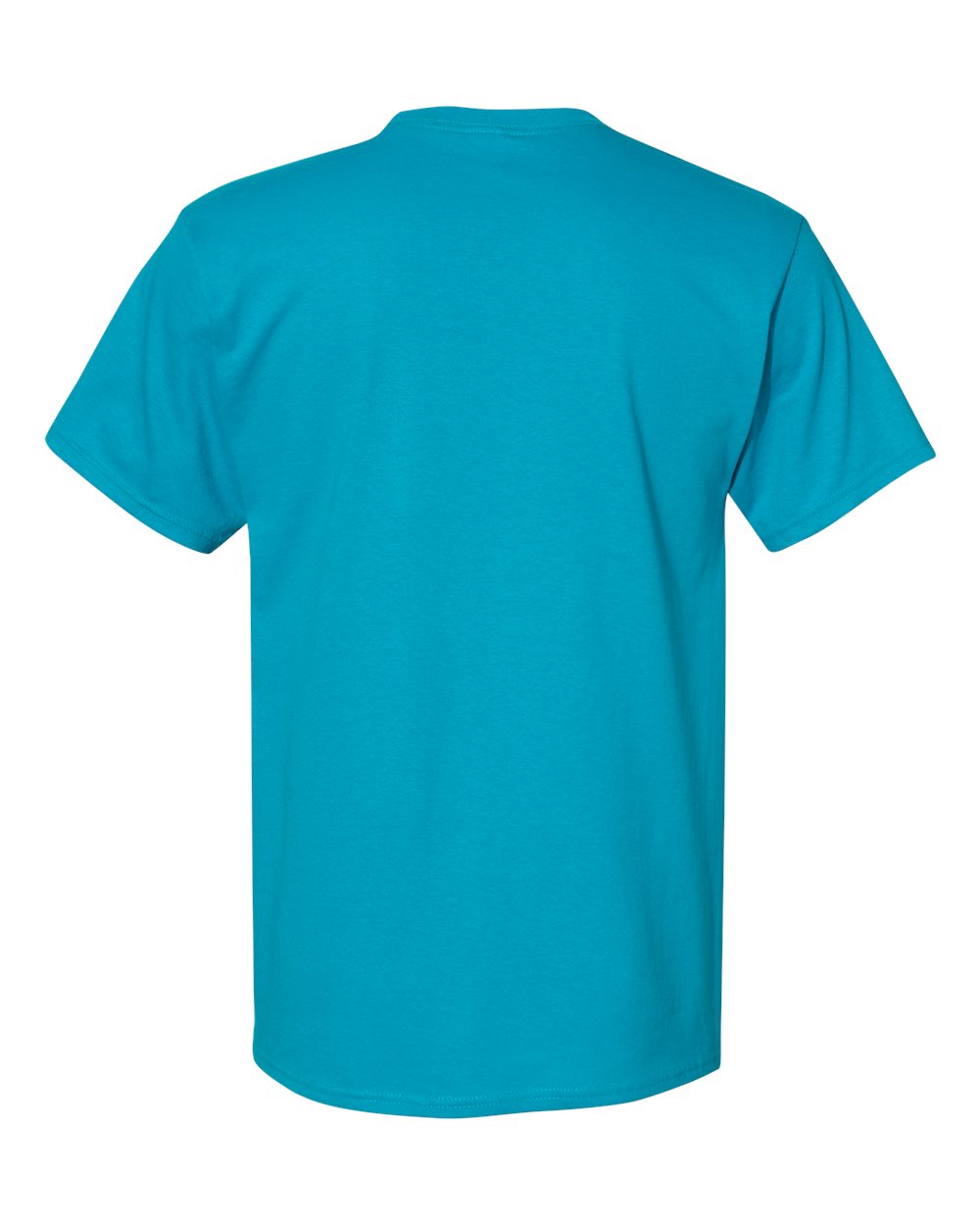 Rear View of Teal Essential-T T-Shirt - 5280