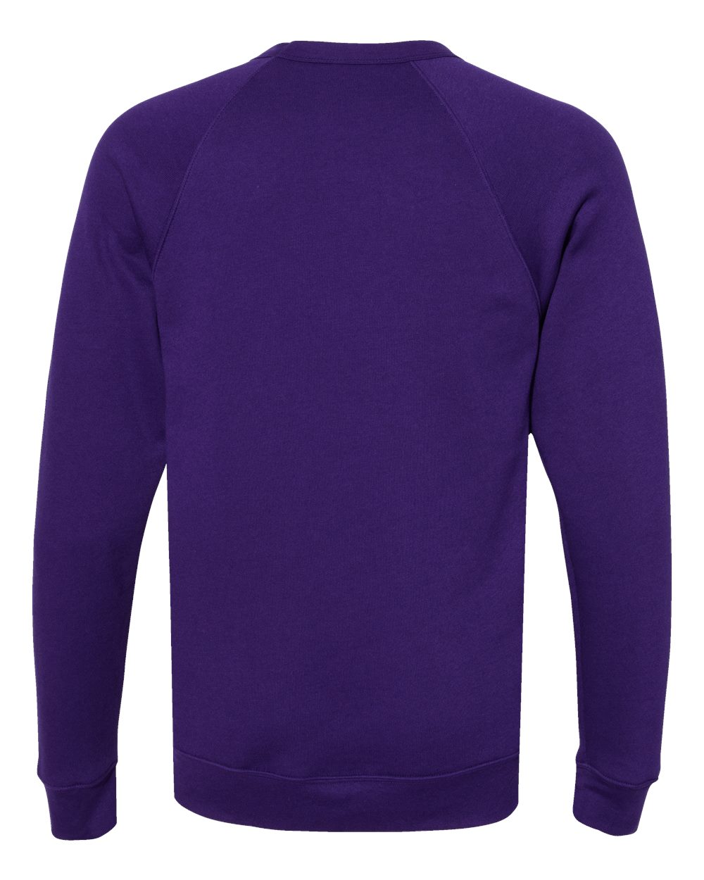 Rear View of Team Purple Sponge Fleece Raglan Crewneck Sweatshirt - 3901