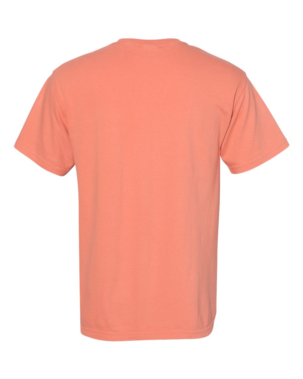 Rear View of Terracotta Garment-Dyed Heavyweight Pocket T-Shirt - 6030