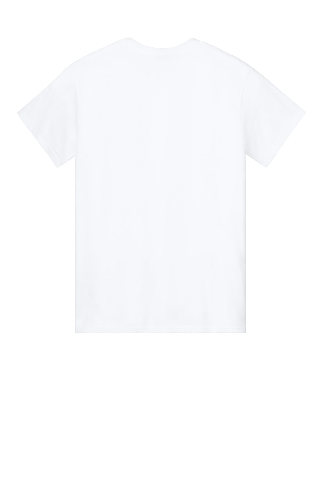 Rear View of White Gildan Light Cotton Tee 3000